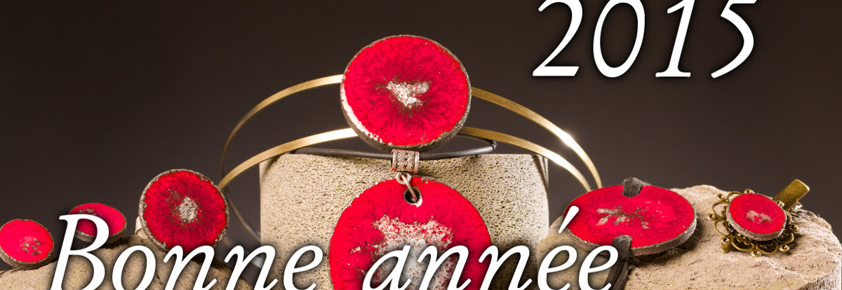 Bonne année 2015 à tous !